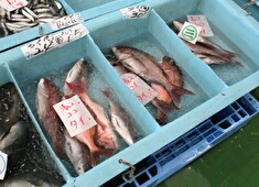 「新宿 古民家 十徳」「十徳 本店」「とく一」etc. 求人 現地に出向き、その土地や時期で1番の食材を直接買い付け！日本全国の“美味しいモノ”が集まっているんです！