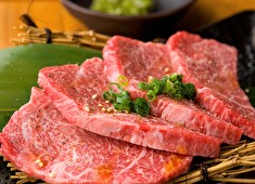 焼肉ぽんが 目黒はなれ／焼肉ぽんが 江ノ島店、他／YKプランニング 株式会社 求人 肩ひじ張らずに楽しめるブランドから、非日常を体感できる高単価ブランドまで幅広く展開！ご希望をお聞かせください。