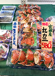 魚屋「魚初」 求人