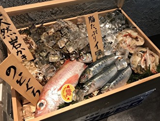 料理人のいる魚屋 かず家／真打 かず家 国分寺店 求人