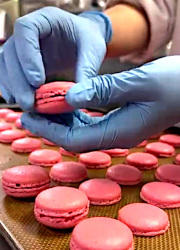 株式会社ケー・エキスプレス（カトープレジャーグループ） 求人