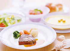 日清医療食品 株式会社 西日本エリア 求人 