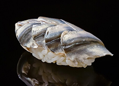 鮨志郎／株式会社JUNSHI 求人 