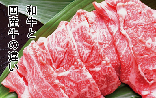 「和牛」と「国産牛」の違いって何？ 飲食業界情報グルトピッ！by飲食求人グルメキャリー