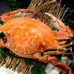 佐賀で楽しむ絶品「竹崎カニ」！美味しさの秘密は有明海にあった！