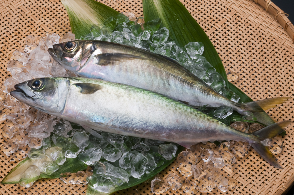 大分の自然が生み出した高級魚「関アジ」と「関サバ」は刺身で召し上がれ! | 飲食業界情報グルトピッ!by飲食求人グルメキャリー