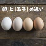 「卵」と「玉子」の違いって何？