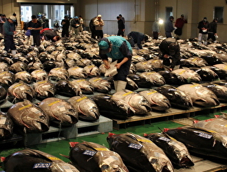 うまい鮨勘 別館 鮨正／株式会社アミノ 求人情報