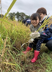 株式会社 トラクシィ／「米沢牛焼肉 仔虎（kotora）」 求人