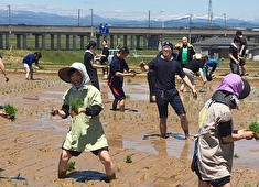 株式会社 トラクシィ／「米沢牛焼肉 仔虎（kotora）」 求人 生産者研修やワイン研修など様々な研修があるおかげで、自分の得意分野を見つけやすいのが魅力です。