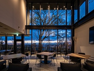 大東ホールディングス株式会社 求人