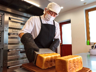 株式会社ペンギン（北海道エリア） 求人
