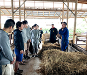 米沢牛焼肉 仔虎（kotora）／株式会社 トラクシィ 求人