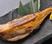 彩のごとく 求人