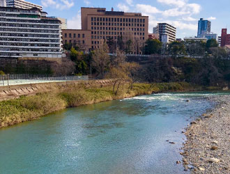 株式会社 オールスパイス 求人