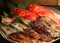 株式会社清次郎　新店舗（店名未定） 求人 新鮮な魚を新鮮なうちに。魚屋と居酒屋の一本化は良いこと・学べることばかり！