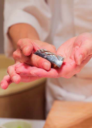 廻転鮨 銀座おのでら名古屋店／株式会社銀座おのでら 求人