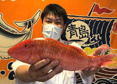 やひろ丸 錦港・やひろ丸 新橋港（株式会社やひろ丸） 求人 鮮度抜群の魚から珍しい魚まで、幅広く扱えます。