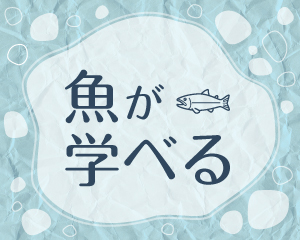 魚が学べる